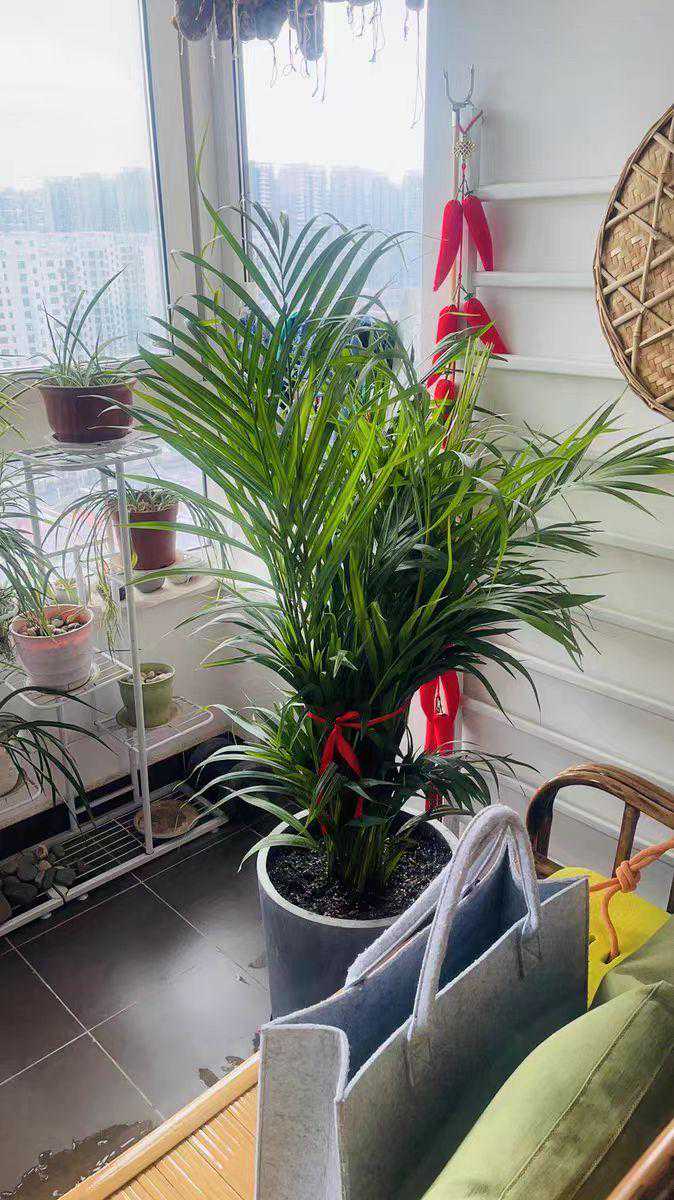 命理与股市的对应:天干地支、五行的转换与股市涨跌的关系