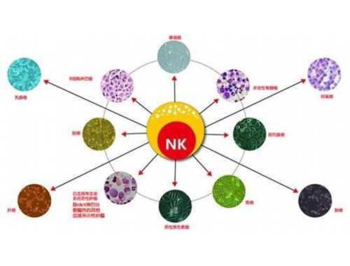 山水画与财运：风水与八字视角下的选择与布局