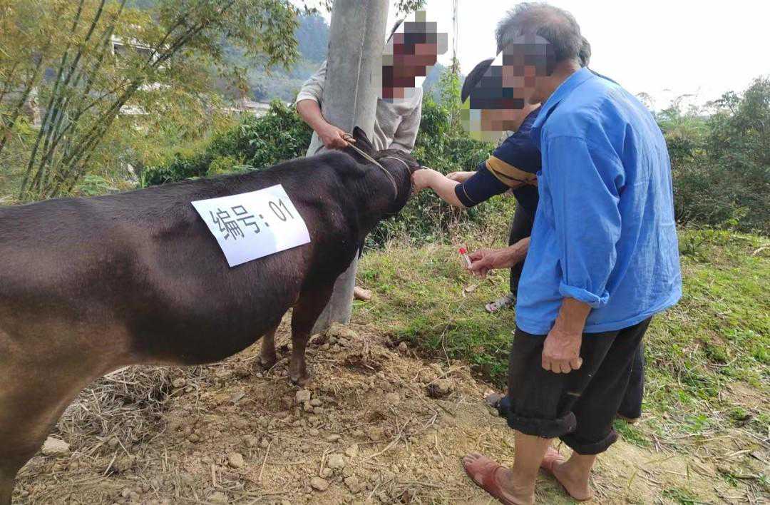 连续15个季度亏损!负债千亿,“坑爹无数”的双龙破产了?