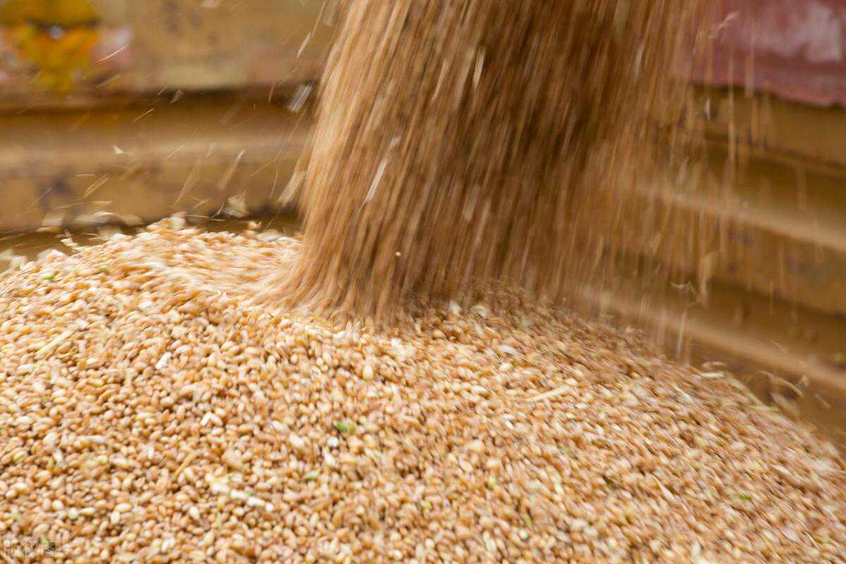 3个刑满释放人员口述，出狱后的生活