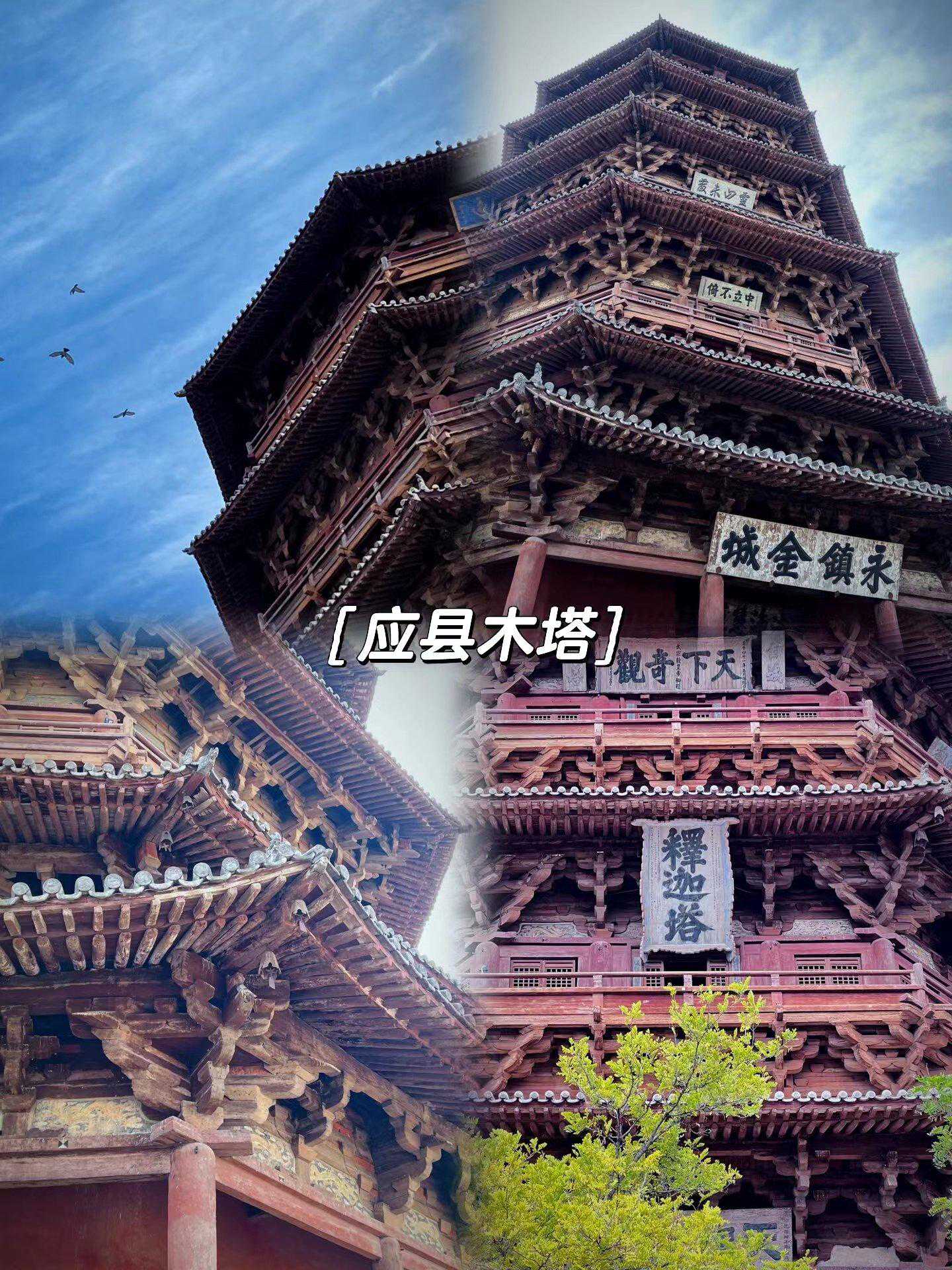 十一月运势指南:事业、财富、爱情详细解读!