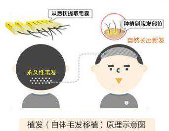 生活顺风顺水，事业顺利的四个属相