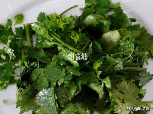 通过"每日塔罗牌阵”激活你的每一天