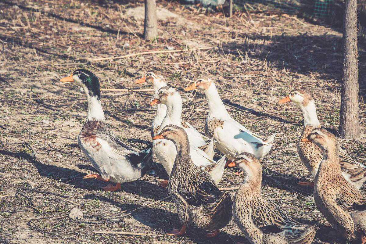 算命大师倒下了,不能让算命网站继续大行其道