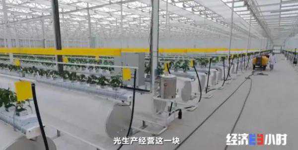 实用六爻技法(二):洞察人生百态