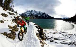 【月運】乙巳年己卯月（3.5—4.3）—癸水篇