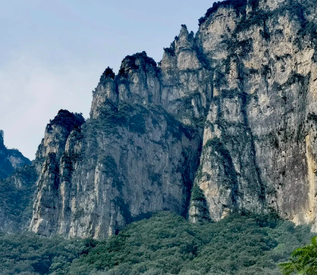 职场变迁!白羊座跳槽后的5大看点