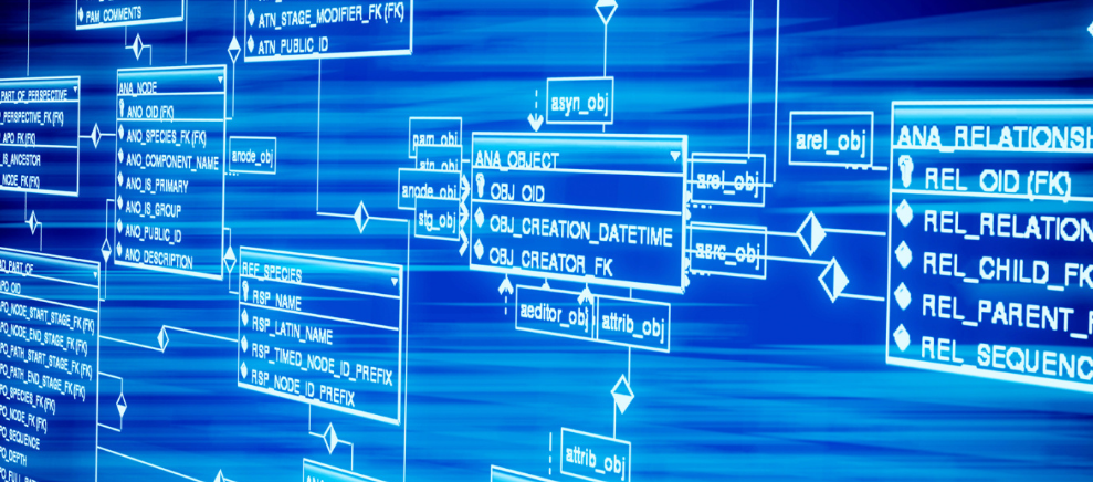 小说：超神幸运提升幸运卡逢凶化吉