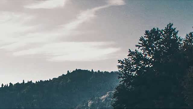 属猴人注意！五月运势即将反转，财富爱情双丰收你敢信？